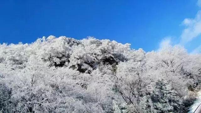 市商务局：绘制“北京开放地图”，推动“两区”建设乘势而上