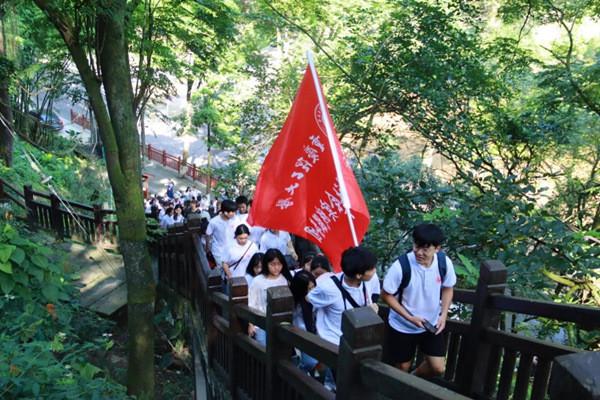 巧变同色